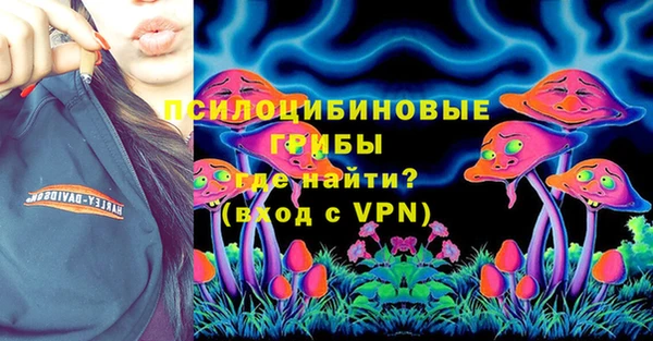 дмт Аркадак