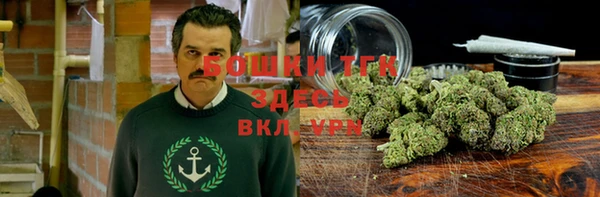 дмт Аркадак