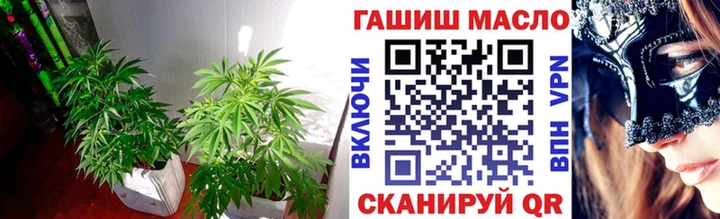 Купить закладки  Североморск  Дистиллят ТГК гашишное масло 